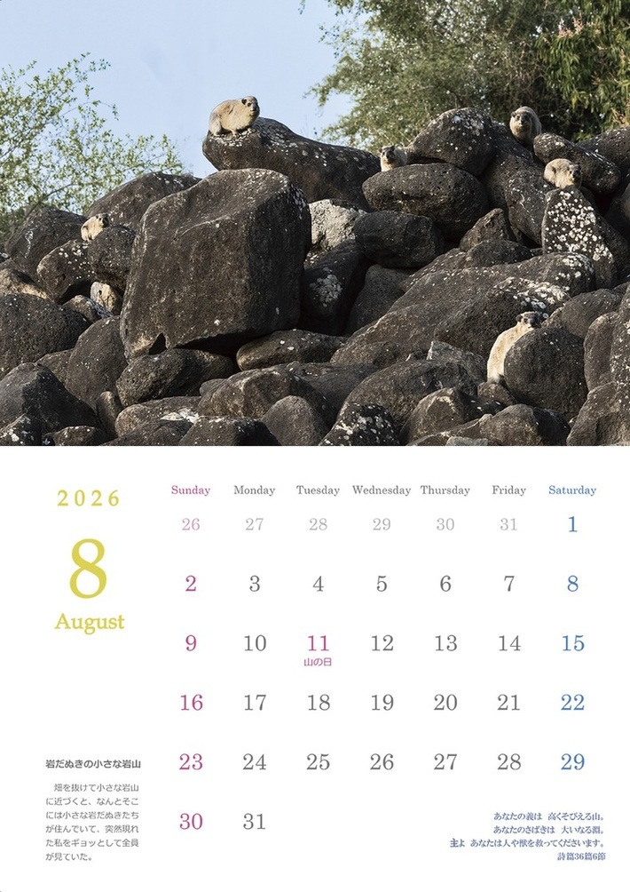 2026ǯɳݤХ֥ɥ饨롡500033