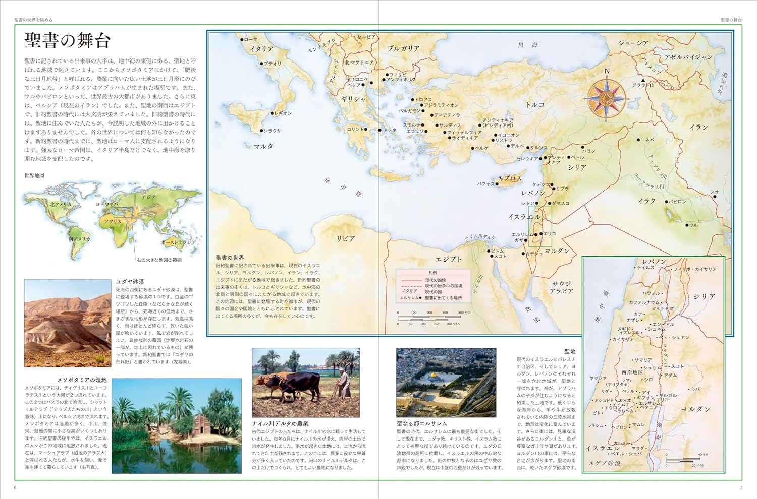 �ϿޤǤߤ������Τ����ꡡ��802674��