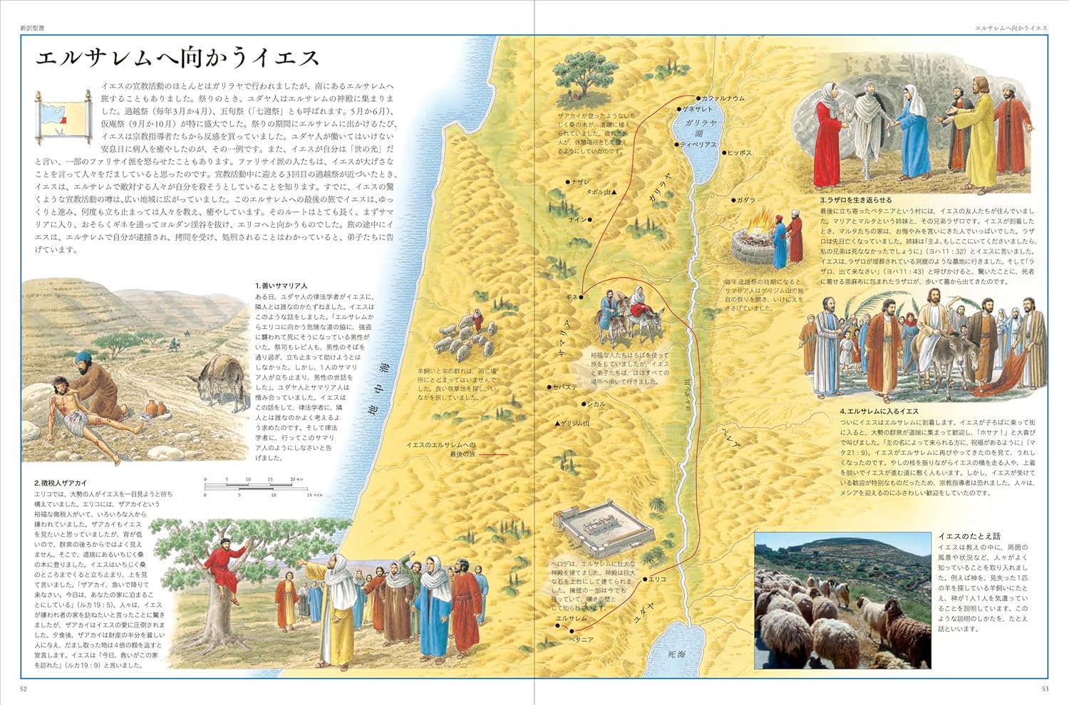 �ϿޤǤߤ������Τ����ꡡ��802674��