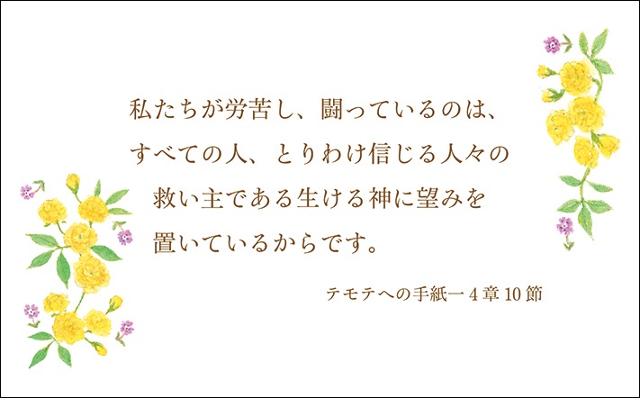 みことばカード Flower of Mercy(箱入り) K-TGS23MCB1 （50758