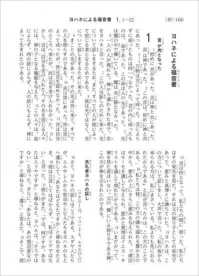 聖書 聖書協会共同訳 総革装小型 SI48 聖書協会共同訳小型聖書革装 SI48