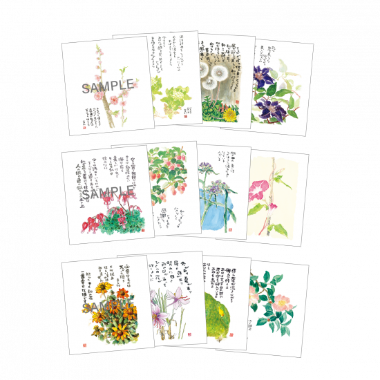 [1-10] 2026ǯǡٹ轸奨롡802567