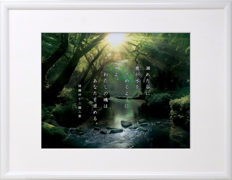 �ۥ磻�ȥե졼�ࡡ����J-KE23HF4����50833��