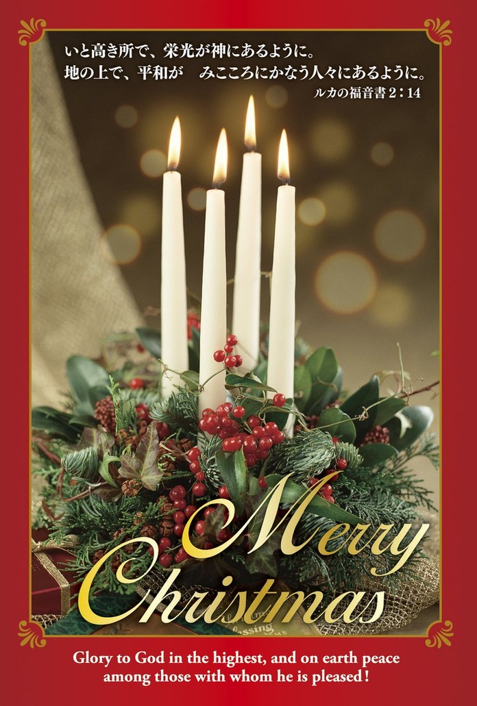 ꥹޥϥ S-TB25X1(10)ɥ٥ȥġ500057