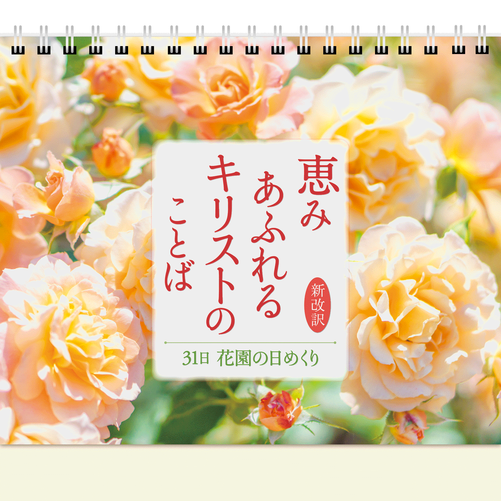 オンラインぶんでん送料無料！ | WINGS いのちのことば社公式通販