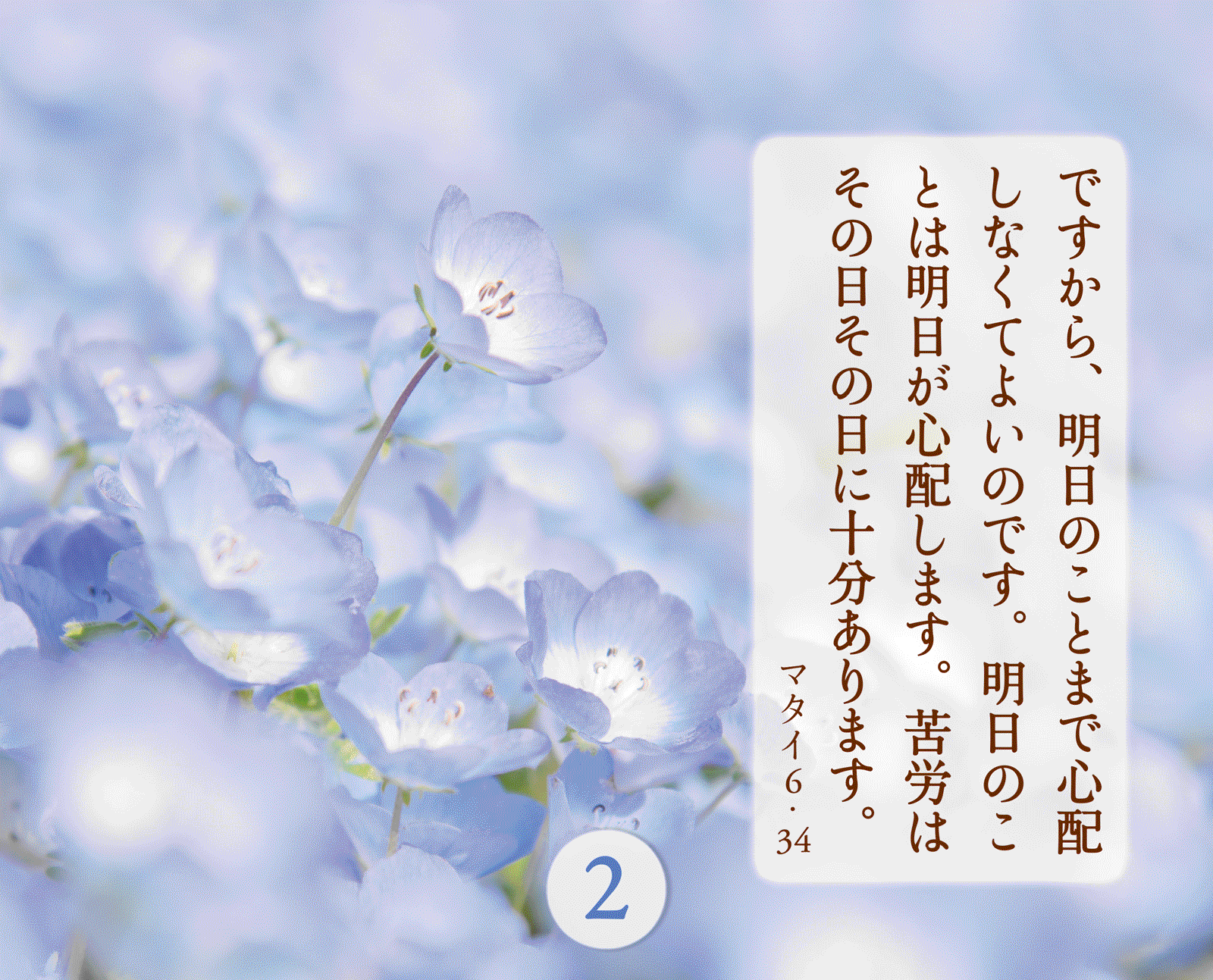 �äߤ��դ�륭�ꥹ�ȤΤ��ȤС�31���ֱ�����᤯�ꡡ��500305��