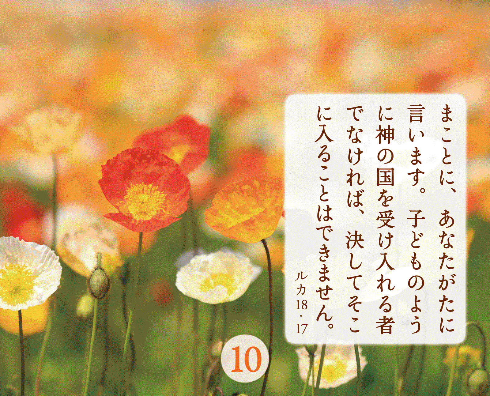 �äߤ��դ�륭�ꥹ�ȤΤ��ȤС�31���ֱ�����᤯�ꡡ��500305��