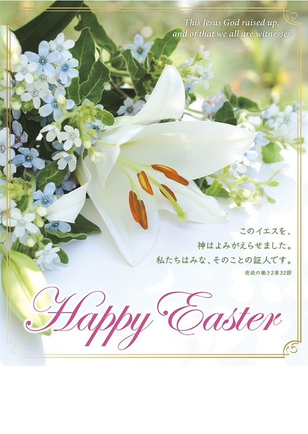 ץѻ(30)ȥ֥롼500114