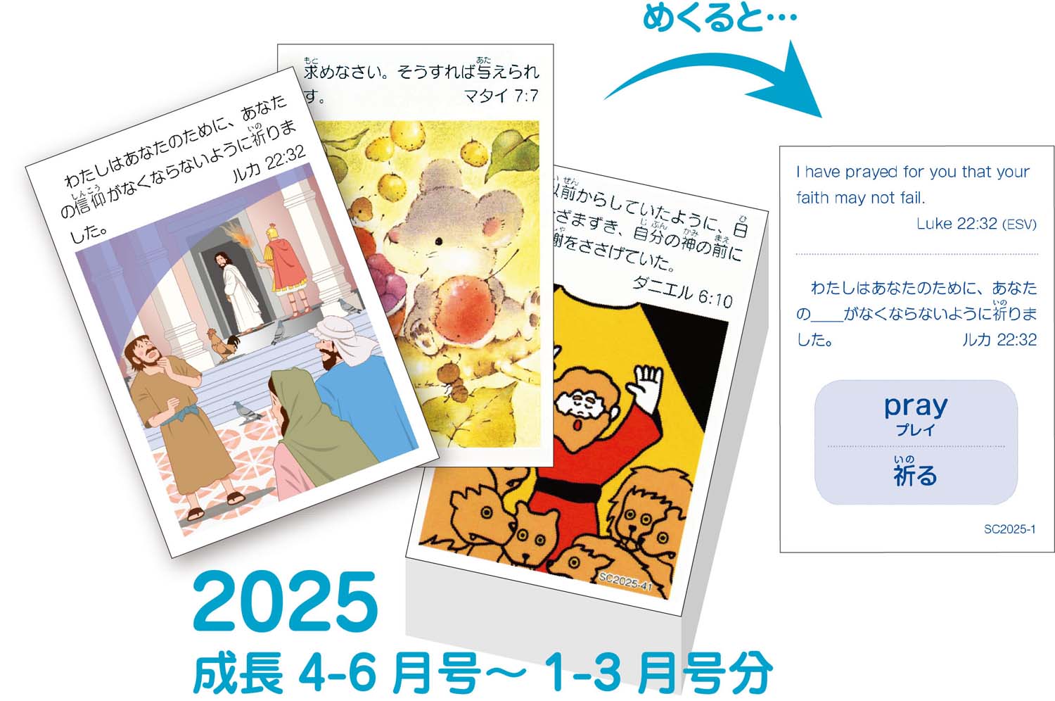豆カード2025（バイリンガル） 52週×1枚セット （60260）（いのちの