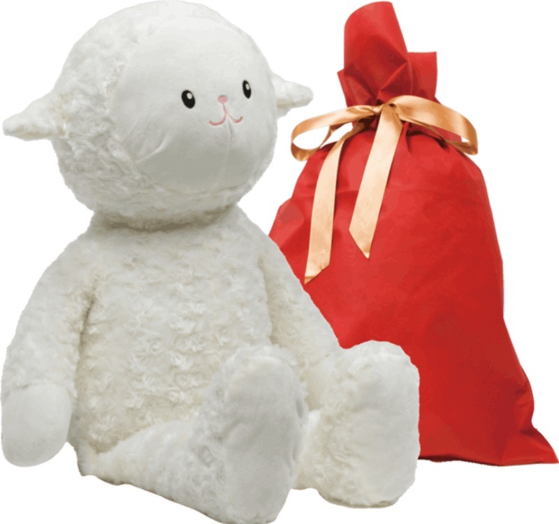 ò ҤĤΥϥʥեȥХåդUD24BN51020