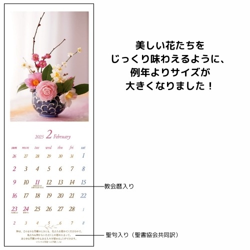 Ⱦۡ2025ǯ ɳݤ Flowers57427