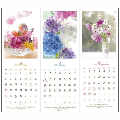 Ⱦۡ2025ǯ ɳݤ Flowers57427