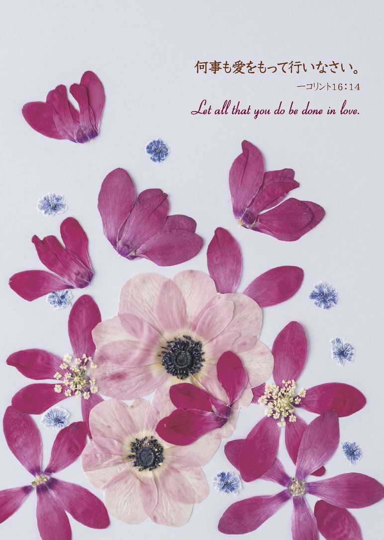 2026ǯ ֳϤ ֤Τӡɳݤˡ500026