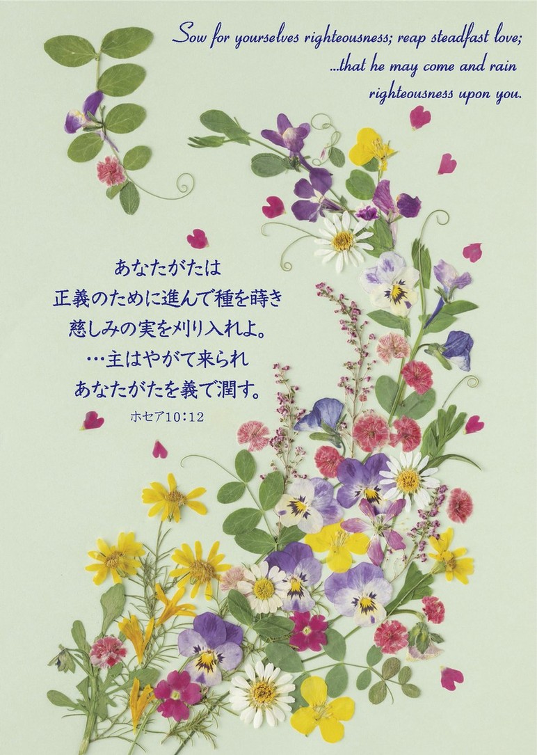 2026ǯ ֳϤ ֤Τӡɳݤˡ500026