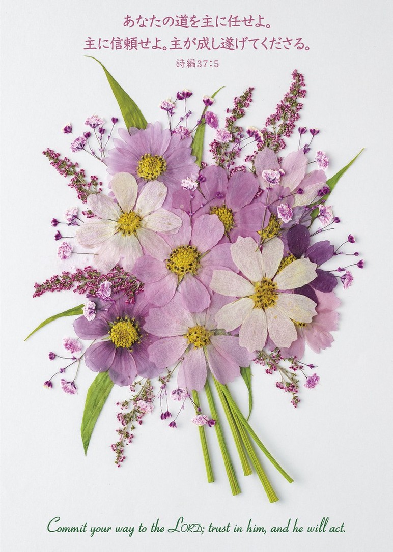 2026ǯ ֳϤ ֤Τӡɳݤˡ500026