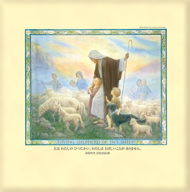 ������)����Х� �ɤ��ӻ�������58016��