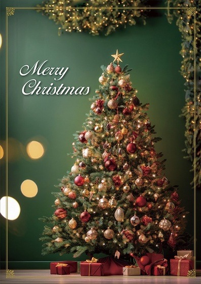 ꥹޥBOX1819˥ĥ꡼500069