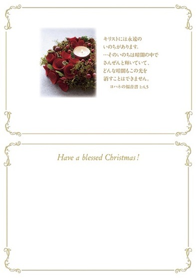 ꥹޥBOX1819˥ɥ롡500072