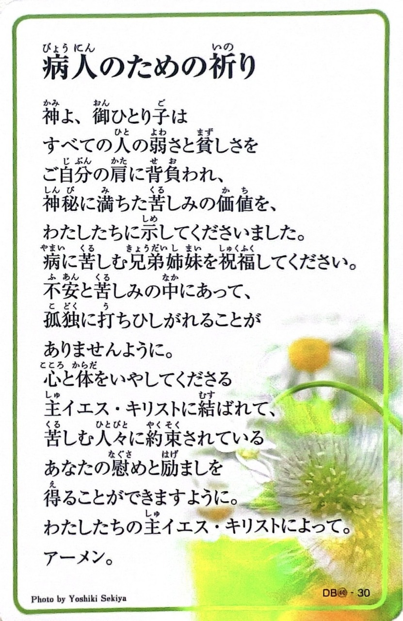 祈りカード 病人のための祈り／病気のときの祈り DB40（910105）（ドン