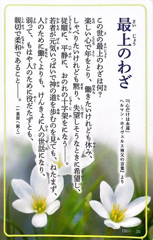 1_000000041251.jpg?1745477441