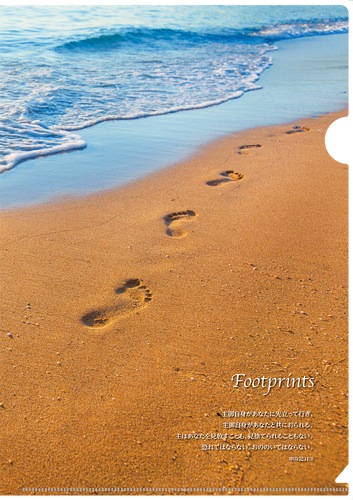 ꥢե եåȥץJ-CF19A50971