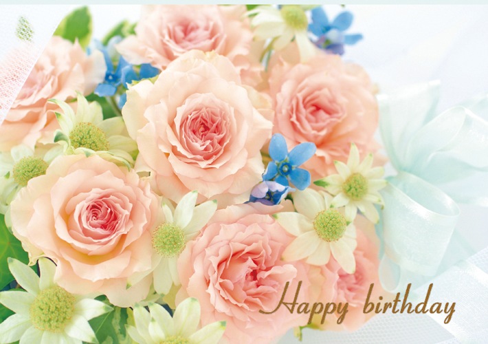 Сǡɡդ ԥ󥯤ΥХ饢 S-FRP24BC251837