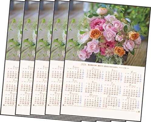 2026ǯ ۡ५Grace to You(5)500019