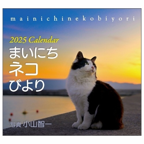Ⱦۡ2025ǯ ɳݤ  ޤˤͥӤꡡ57414