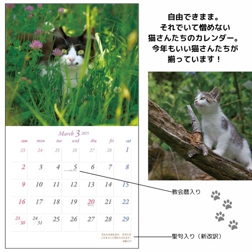 Ⱦۡ2025ǯ ɳݤ  ޤˤͥӤꡡ57414