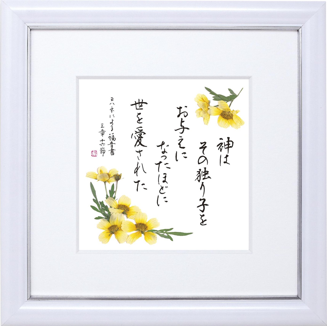 ֤ߤȤгۡϤȤҤ J-IWT25MG1500286