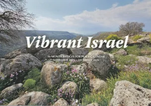 񥫥2026ܸ2025ǯ92026ǯ12802588