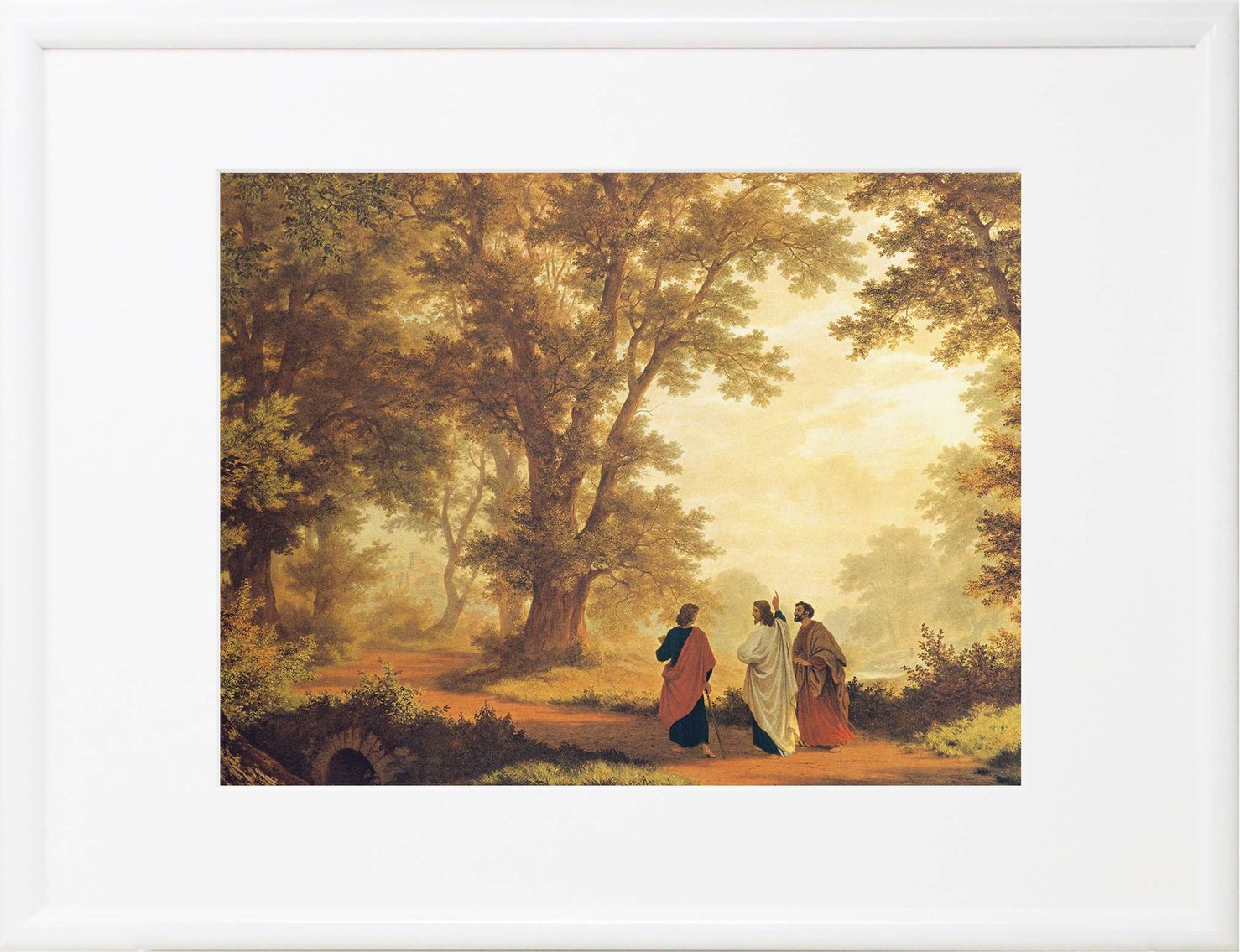 ۥ磻ȥե졼ࡡޥӾ塡L-KE25HF2500285