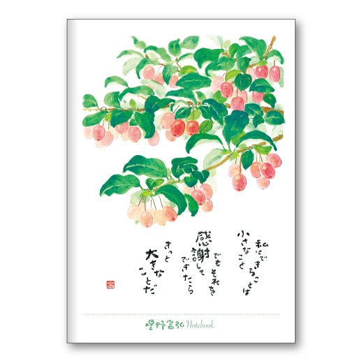 ٹB6Ρ  ߡFRP25TNB1500214