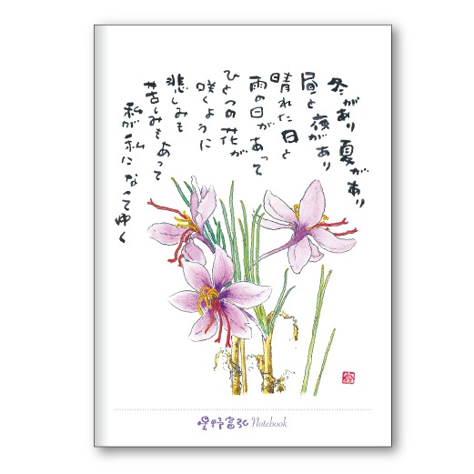 ٹB6ΡȡեFRP25TNB2500215