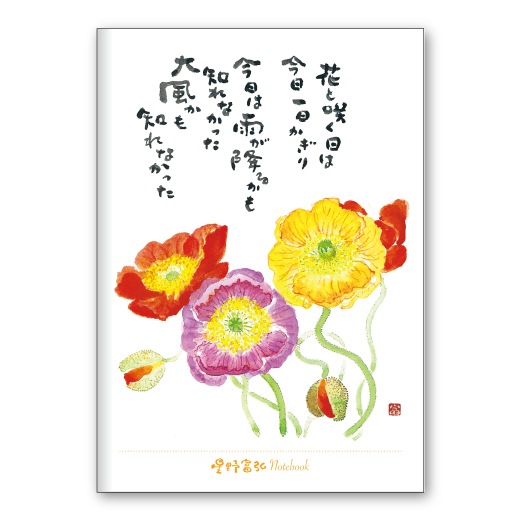 ٹB6ΡȡݥԡFRP25TNB4500229