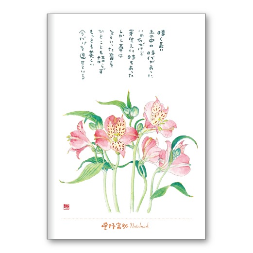 ٹB6Ρȡ륹ȥꥢFRP25TNB3500228