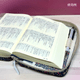 ������)���񥫥С� �٥꡼ �� �緿�ѡ�A5��MB24BCBK-L����500371��