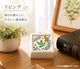 �������르���롡�ϥȡ�HT22ORG1��(������)��500546��