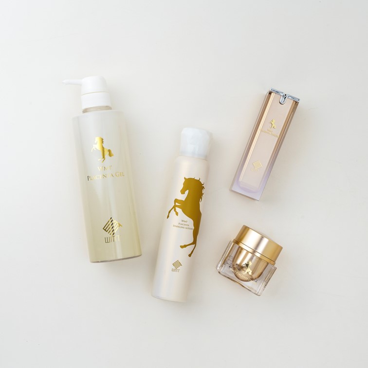 WMT�ץ饻�󥿥���󥸥󥰥�����