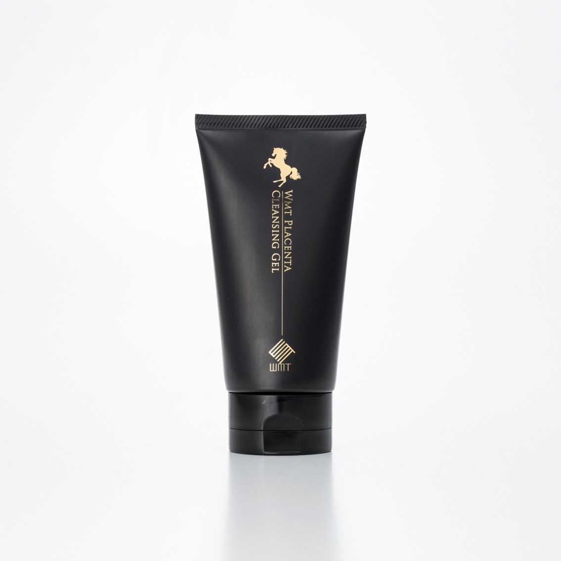 WMT�ץ饻�󥿥���󥸥󥰥�����