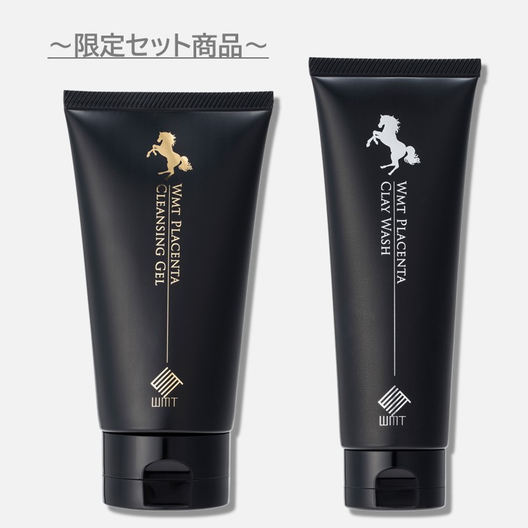 ���ץ饻�󥿥���󥸥󥰡������