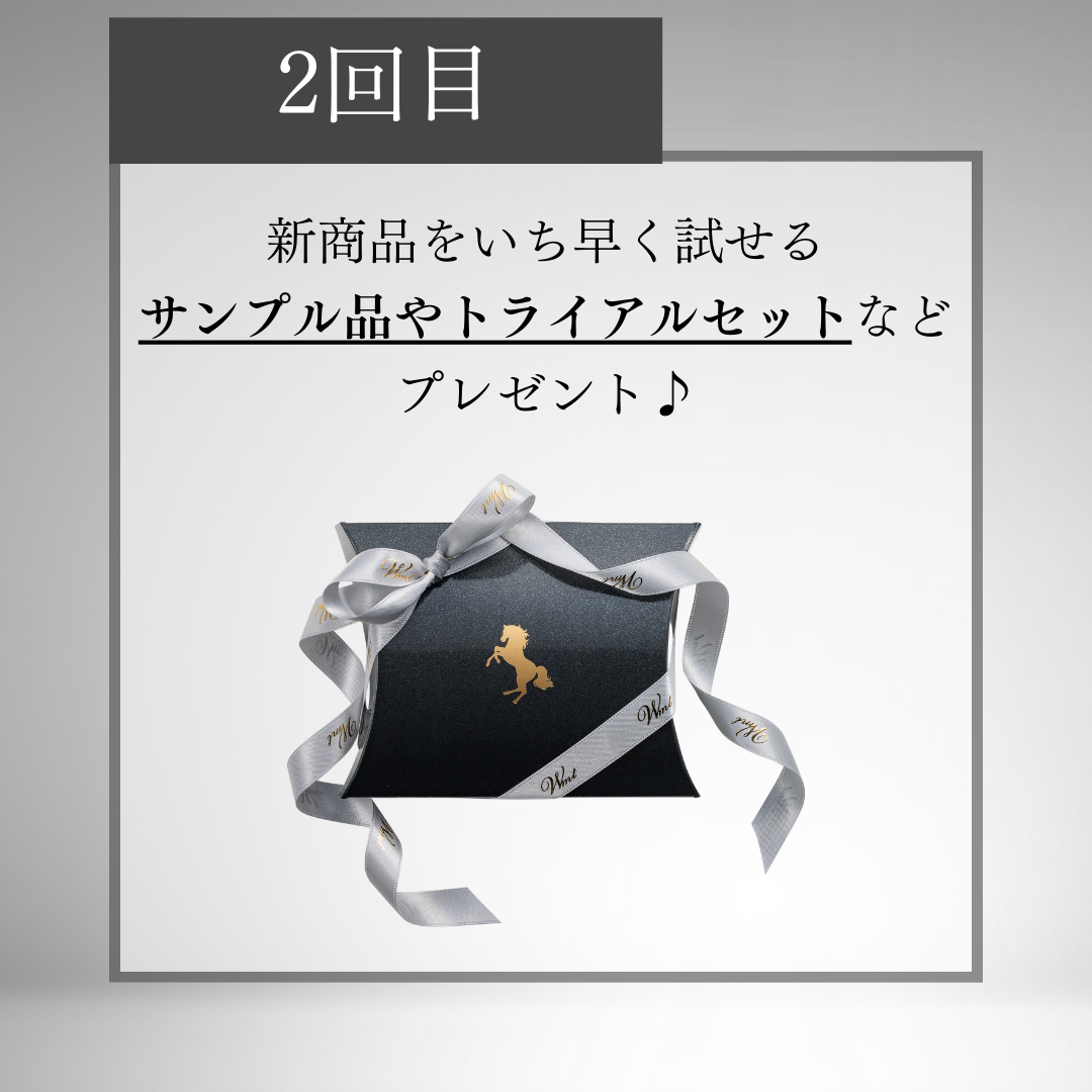 WMTץ饻󥿥