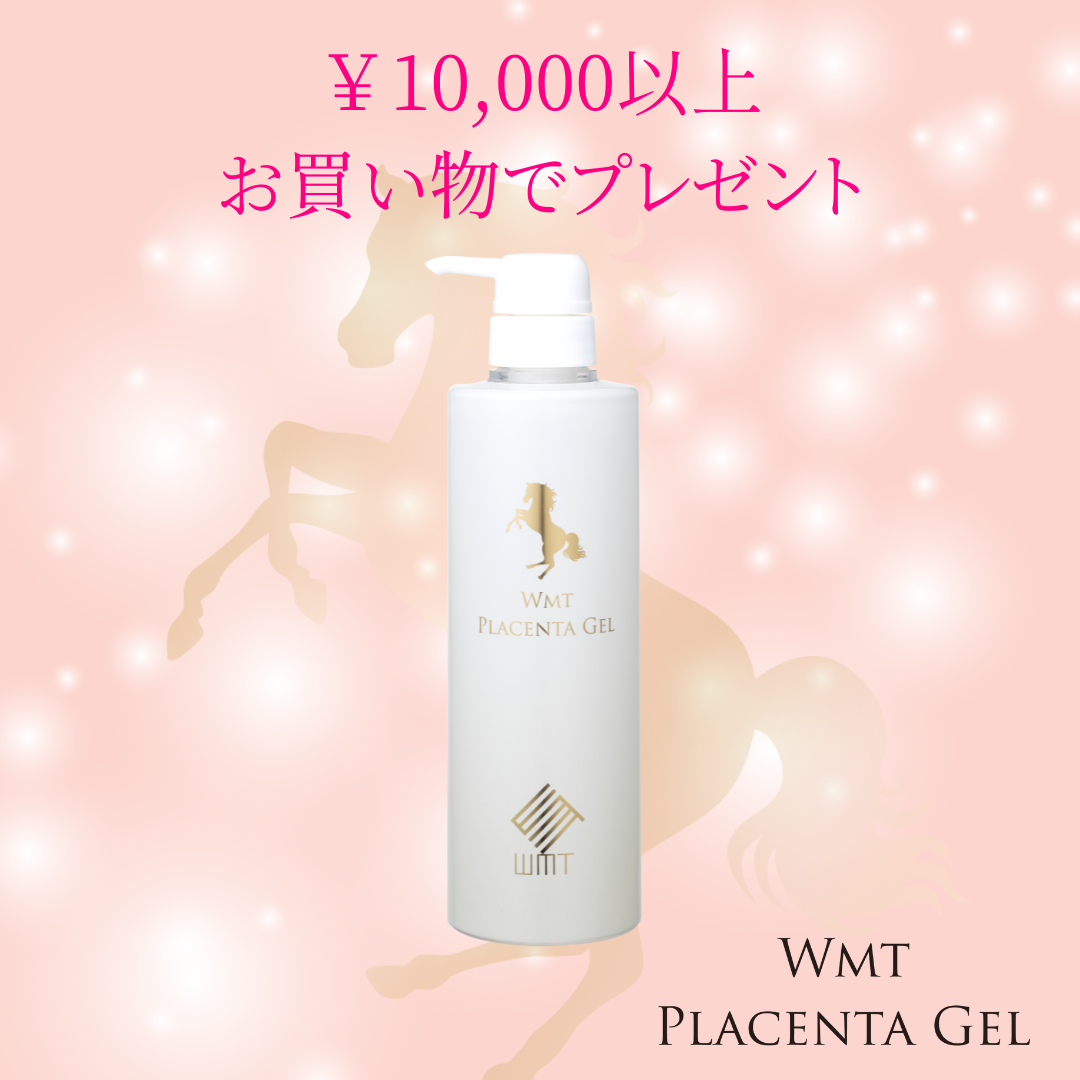 ڡ PL+ѿ奻å