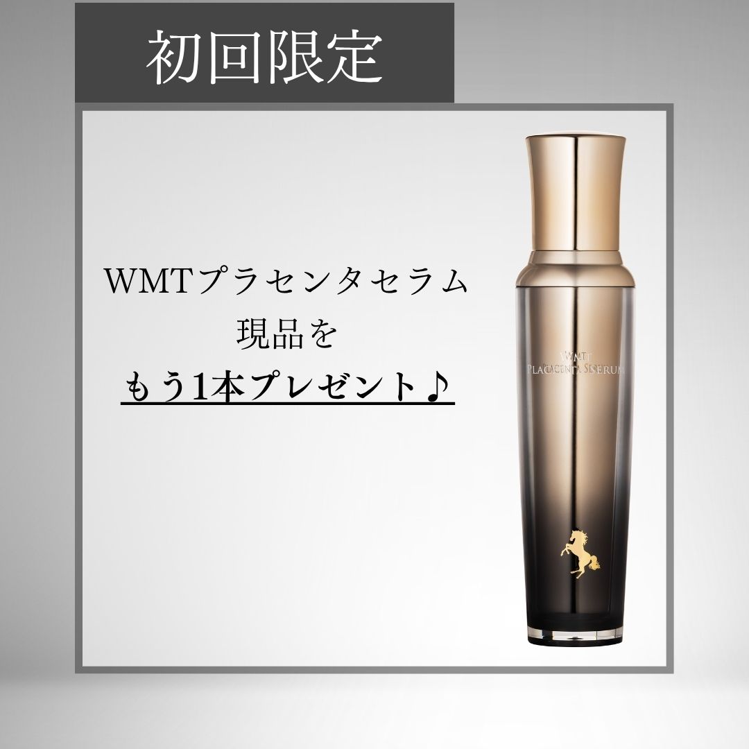 �����������WMT�ץ饻�󥿥����ʸ���ʎߎ��������ޡ�