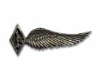 ��SKULL FLIGHT/������ե饤�ȡۡ�1% Wing Pins/1%�����󥰥ԥ󥺡�(Silver950)