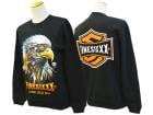 FINESIXXX/ե󥷥å2024AW3D Eagle Graphic Crew Neck Sweat/3D륰եå롼ͥååȡ(FS-2024FW-004)