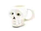 ��ATTRACTIONS/���ȥ饯����󥺡�2026SS��Skull Mug/������ޥ���(A20033-02)