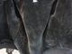 ��2����CWORKS by FINE CREEK&CO/��������� �Х� �ե����󥯥꡼������ɥ�����2025AW��Deerskin Deck Zip Jacket��Zephyr��/�ǥ���������ǥå����åץ��㥱�åȡɥ��ե����ɡ�(CWJK033)��ͽ����/2026ǯ������ͽ���