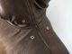 ��2����CWORKS by FINE CREEK&CO/��������� �Х� �ե����󥯥꡼������ɥ�����2025AW��Deerskin Deck Zip Jacket��Zephyr��/�ǥ���������ǥå����åץ��㥱�åȡɥ��ե����ɡ�(CWJK033)��ͽ����/2026ǯ������ͽ���