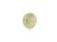 ��MADE IN CALIFORNIA/�ᥤ�ɥ��󥫥�ե���˥��ۡ�Signet Ring/�����ͥåȥ�󥰡�